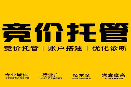 SEM开户全流程解析：成功案例分享